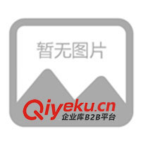 節(jié)能環(huán)保太陽能筆記本電腦充電器(圖)